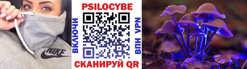 Псилоцибиновые грибы Magic Shrooms  Купить  Печора 